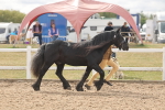 SBM_04930