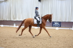 SBM_000944