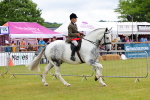 SBM_02566