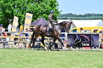 SBM_18129