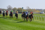 080426-Race 4-Evocative Spark-0314