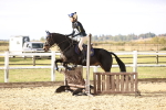 SBM_000597