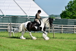 SBM_12127