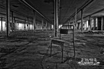 Portfolio 5