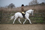 SBM_006067