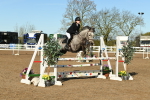 Amelia portfolio