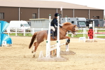 SBM_008558