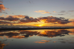 Reflections - DSC_2314
