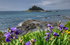 St Micheals Mount Marazion 2