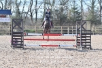 CLASS 14 SUN Springboard 128cm/ 138cm Restricted Handicap portfolio