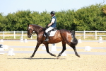 SBM_009750