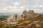 Devil's Chair and cattle 1