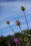 20110730-IMG_6164