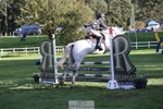 509-WOODLANDS.SILVER.CLOUD-Karen.Cowling-TrotUp+SJ portfolio