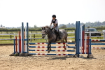 SBM_001486
