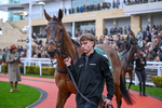 151125-Race 5-Prince Zaltar-3579