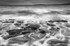 471A7221 ELGOL BW