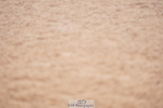 240506A-085708-07858