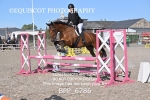 BPP_6786