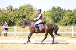 SBM_006607