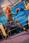 Boxing_Guernsey v Manchester-43