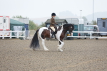 SBM_19841