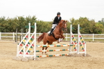 SBM_008513