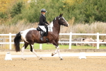 SBM_011403