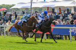 140525-Race 1-Almoshher-1586
