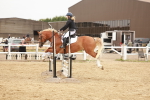 SBM_008344