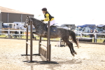 SBM_001491