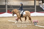BPP_8149