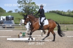 BPP_5497