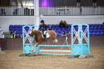 SBM_002637