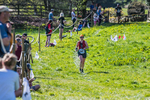 The Finish-1078