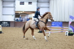 SBM_002638