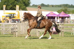 SBM_09672