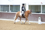 SBM_000524