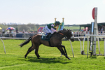 080426-Race 2-Rotokura Belle-0050