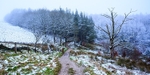 Path through Macclesfield Forest (4)
