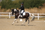 SBM_013672