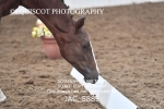 JAC_5889