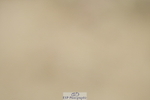 230702A-125854-09410