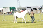 SBM_01620