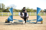 SBM_000272