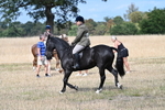 WJ7_5877