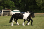 SBM_10577