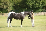 SBM_10429