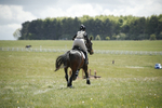 BVHT 140517  IXC -834