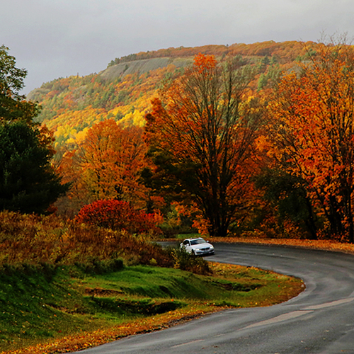 Awesome Autumn foliage near Sussex New Brunswick Canada